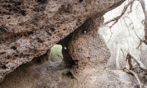 Cuevas de Conchales, Tongoy Alto